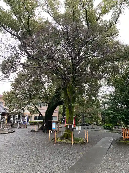 米之宮浅間神社(静岡県)