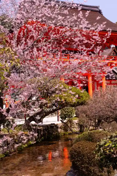 賀茂別雷神社(上賀茂神社)(京都府)