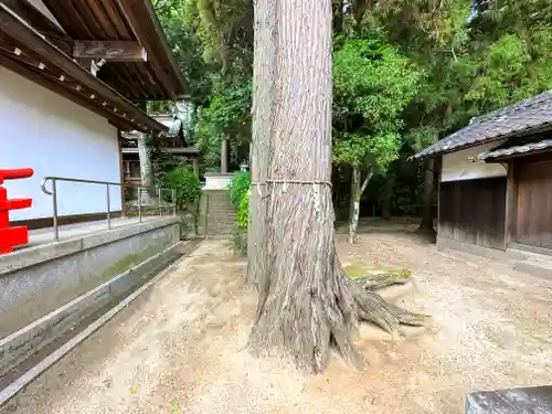 （木津）御霊神社(京都府)