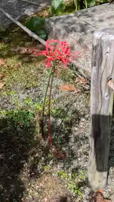 勝林寺(京都府)