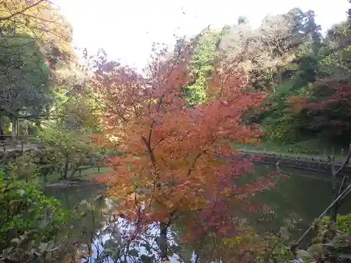 回春院の景色