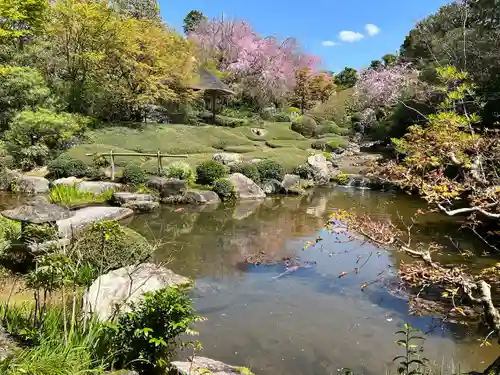 退蔵院(京都府)