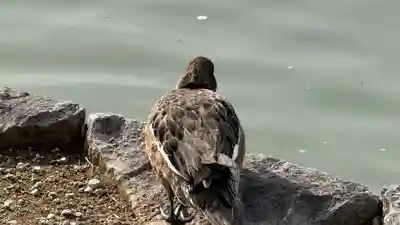 橿原神宮(奈良県)