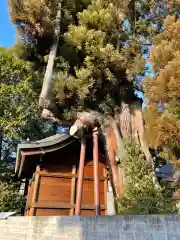 一本杉白山神社(岐阜県)