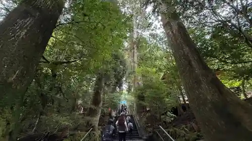 箱根神社(神奈川県)