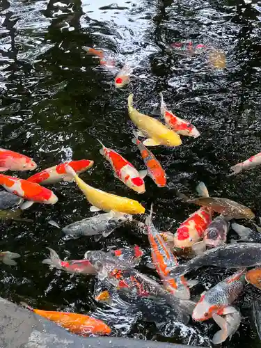 伊豆山神社(静岡県)