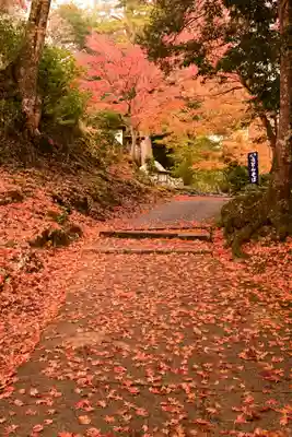 神護寺(京都府)