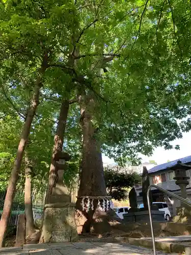 久地神社の自然