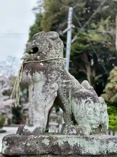 鴨都波神社の狛犬