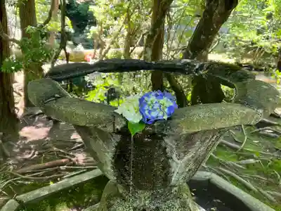 法然院(京都府)