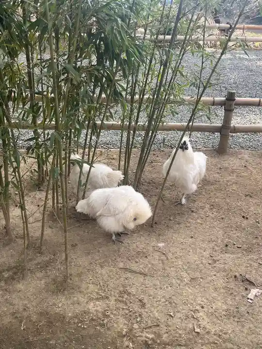 高屋敷稲荷神社(福島県)