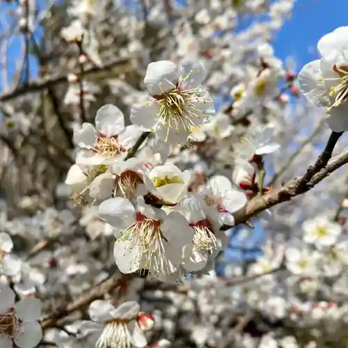 布施弁天 東海寺(千葉県)