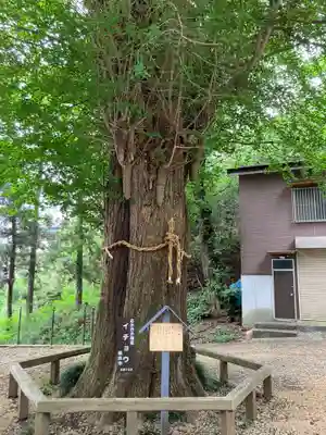 八幡宮(神奈川県)