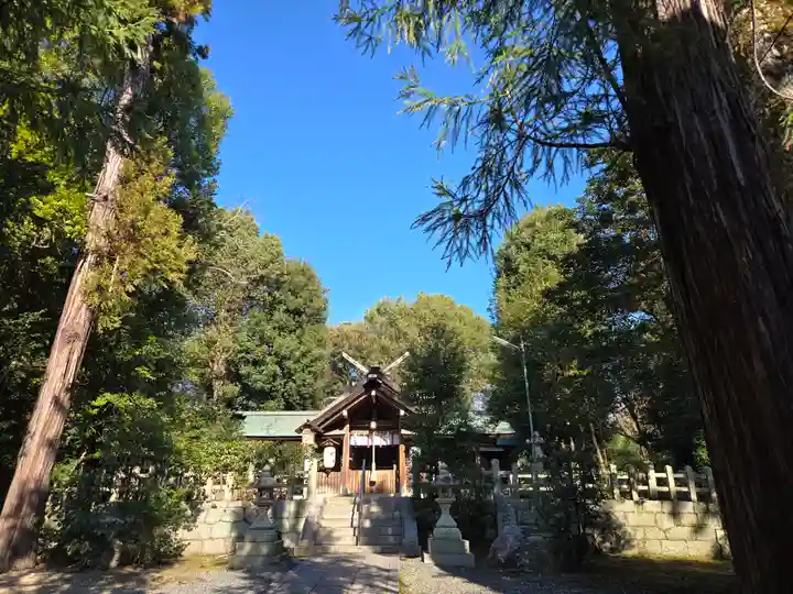 木嶋坐天照御魂神社(京都府)