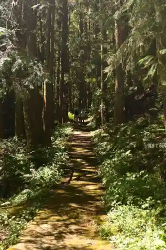 悲願寺(徳島県)