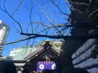 東京大神宮の{uncategorized: "未分類", other: "その他", undefined: "問題あり", building: "その他建物", grave: "お墓", sacred_gate: "鳥居", guardian: "狛犬", statue: "像", buddha: "仏像", history: "歴史", nature: "自然", garden: "庭園", animal: "動物", pagoda: "塔", temizu: "手水舎", mountain_gate: "山門・神門", sanctuary: "本殿・本堂", subordinate: "末社・摂社", art: "芸術", scenery: "景色", jizo: "地蔵", ema: "絵馬", goshuin: "御朱印", omikuji: "おみくじ", items: "授与品その他", amulet: "お守り", goshuincho: "御朱印帳", eats: "食事", festival: "お祭り", votive_dance: "神楽", shichigosan: "七五三参", wedding: "結婚式", experience: "体験その他", initially: "初詣", around: "周辺", anti_infection: "感染症対策"}