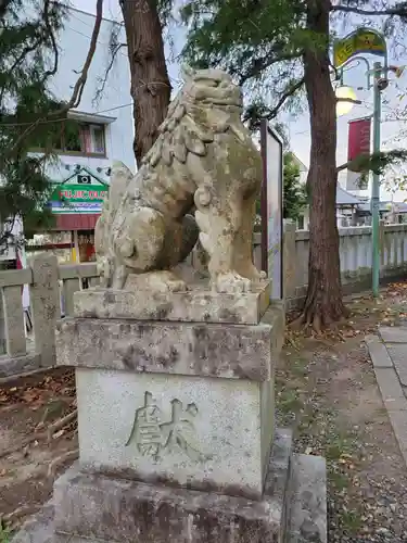 玉前神社の狛犬