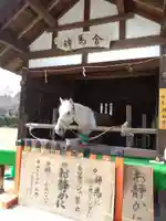 賀茂別雷神社(上賀茂神社)(京都府)