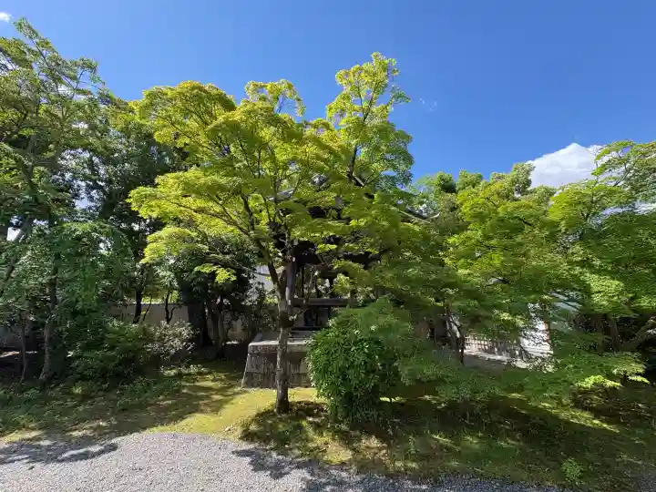 廬山寺(廬山天台講寺)の{uncategorized: "未分類", other: "その他", undefined: "問題あり", building: "その他建物", grave: "お墓", sacred_gate: "鳥居", guardian: "狛犬", statue: "像", buddha: "仏像", history: "歴史", nature: "自然", garden: "庭園", animal: "動物", pagoda: "塔", temizu: "手水舎", mountain_gate: "山門・神門", sanctuary: "本殿・本堂", subordinate: "末社・摂社", art: "芸術", scenery: "景色", jizo: "地蔵", ema: "絵馬", goshuin: "御朱印", omikuji: "おみくじ", items: "授与品その他", amulet: "お守り", goshuincho: "御朱印帳", eats: "食事", festival: "お祭り", votive_dance: "神楽", shichigosan: "七五三参", wedding: "結婚式", experience: "体験その他", initially: "初詣", around: "周辺", anti_infection: "感染症対策"}