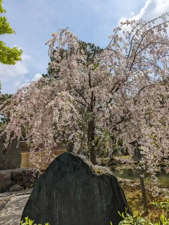 建仁寺(建仁禅寺)(京都府)