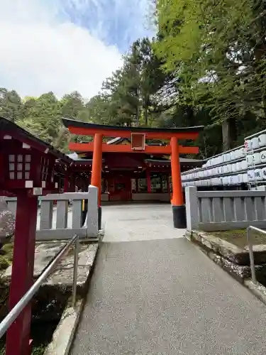 九頭龍神社新宮の{uncategorized: "未分類", other: "その他", undefined: "問題あり", building: "その他建物", grave: "お墓", sacred_gate: "鳥居", guardian: "狛犬", statue: "像", buddha: "仏像", history: "歴史", nature: "自然", garden: "庭園", animal: "動物", pagoda: "塔", temizu: "手水舎", mountain_gate: "山門・神門", sanctuary: "本殿・本堂", subordinate: "末社・摂社", art: "芸術", scenery: "景色", jizo: "地蔵", ema: "絵馬", goshuin: "御朱印", omikuji: "おみくじ", items: "授与品その他", amulet: "お守り", goshuincho: "御朱印帳", eats: "食事", festival: "お祭り", votive_dance: "神楽", shichigosan: "七五三参", wedding: "結婚式", experience: "体験その他", initially: "初詣", around: "周辺", anti_infection: "感染症対策"}