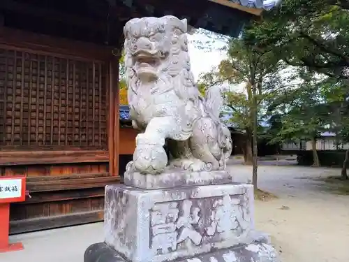 熊野社（築地熊野社）の狛犬