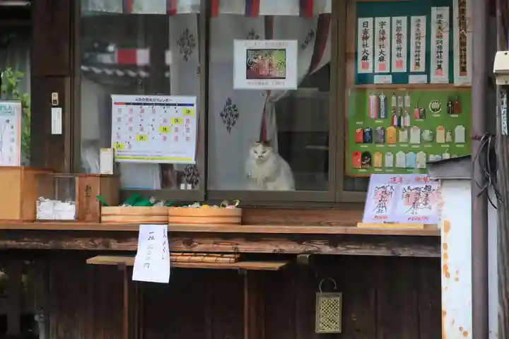 阿邪訶根神社の動物