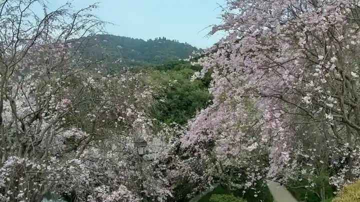 大神神社の自然