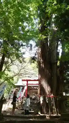 磐椅神社(福島県)