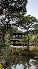 慈照寺（慈照禅寺・銀閣寺）(京都府)