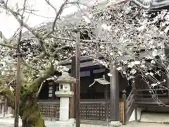 本法寺(京都府)