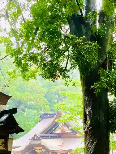 香取神宮(千葉県)