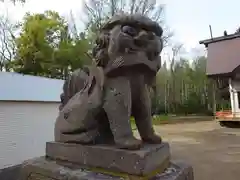 女満別神社の狛犬