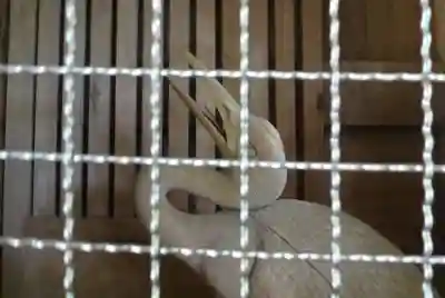 鶴林寺(徳島県)