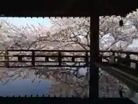 園城寺(三井寺)のその他建物