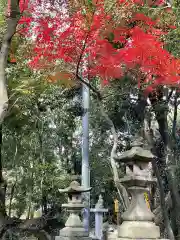 星田妙見宮の建物その他