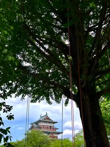 諏訪護国神社(長野県)