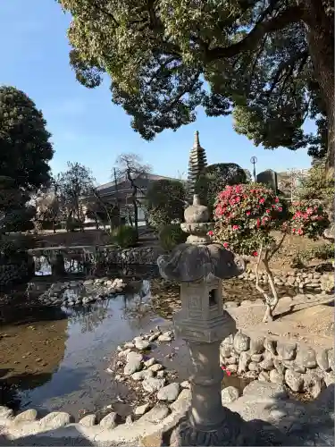 蓮花院(埼玉県)