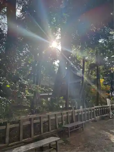 鹿島神宮(茨城県)