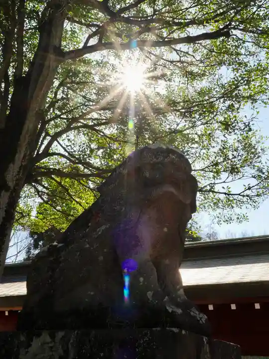大國魂神社(東京都)