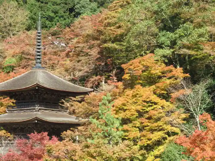 金剛院のその他建物