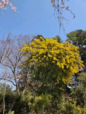 中院の{uncategorized: "未分類", other: "その他", undefined: "問題あり", building: "その他建物", grave: "お墓", sacred_gate: "鳥居", guardian: "狛犬", statue: "像", buddha: "仏像", history: "歴史", nature: "自然", garden: "庭園", animal: "動物", pagoda: "塔", temizu: "手水舎", mountain_gate: "山門・神門", sanctuary: "本殿・本堂", subordinate: "末社・摂社", art: "芸術", scenery: "景色", jizo: "地蔵", ema: "絵馬", goshuin: "御朱印", omikuji: "おみくじ", items: "授与品その他", amulet: "お守り", goshuincho: "御朱印帳", eats: "食事", festival: "お祭り", votive_dance: "神楽", shichigosan: "七五三参", wedding: "結婚式", experience: "体験その他", initially: "初詣", around: "周辺", anti_infection: "感染症対策"}