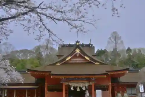 富士山本宮浅間大社(静岡県)