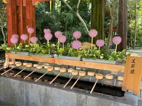 武蔵一宮氷川神社(埼玉県)