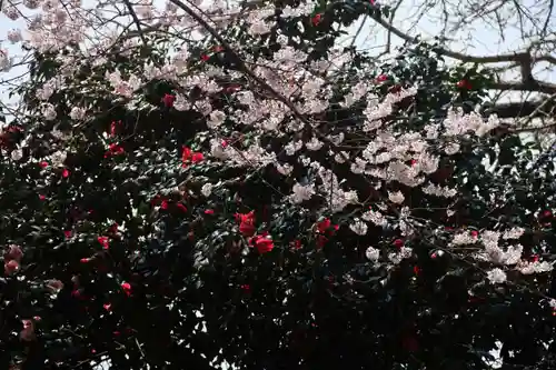 曹洞宗 永松山 龍泉寺の自然