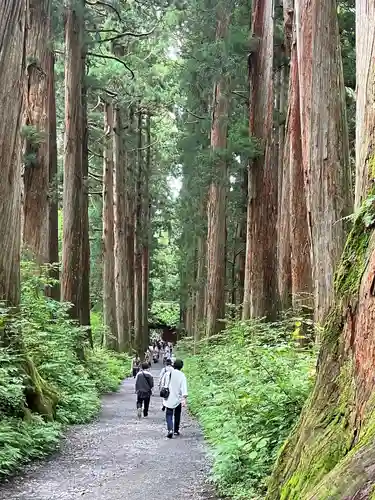 戸隠神社奥社(長野県)