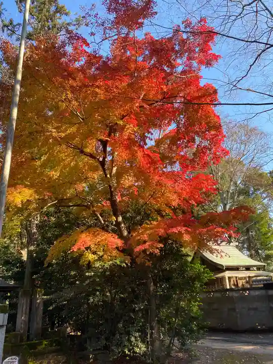 鹿嶋神社の自然