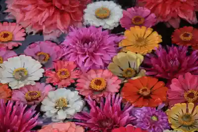 大鏑神社の手水舎