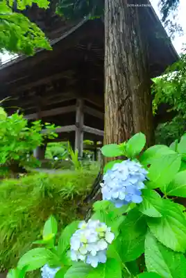 円覚寺(神奈川県)