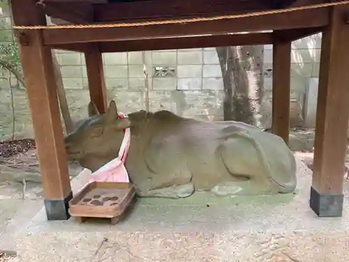 芦屋神社の像